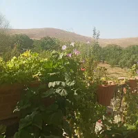 نیازمند کارگر متعهد