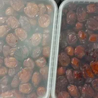 خرما خاصویی|خوردنی و آشامیدنی|شیراز, شهرک پرواز|دیوار