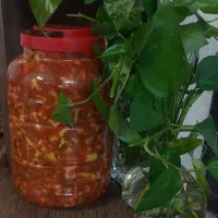 محصولات خانگی عمه لیلا|خوردنی و آشامیدنی|پاکدشت, پاکدشت (مامازند)|دیوار