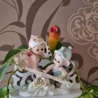 طوطی کوتوله برزیلی فول فول اهلی و دستی|پرنده|تبریز, |دیوار