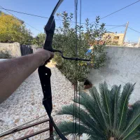 کمان کامپوند تایگر