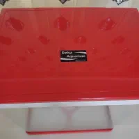 آکواریوم سالم و زیبا|ماهی|گرگان, |دیوار