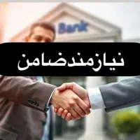 نیازمند ضامن رتبه A و B