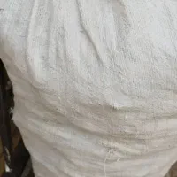 نون خشک فروشی.و کارتون