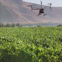 سم پاشی هوایی مزارع