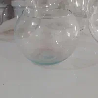 تنگ و اکواریوم|ماهی|بندرعباس, |دیوار