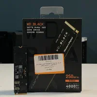 اس اس دی GEN 4 وسترن مشکی M.2 256 GB