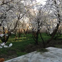 باغچه-1050-متری-یبارک-شهریار