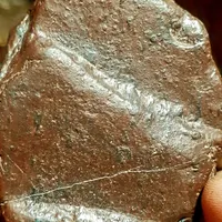 سنگی با پوسته ی سوخته و کندرول|جواهرات|تربت جام, بوستان وحدت|دیوار