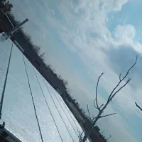 نصاب ایزوگام ضمانتی