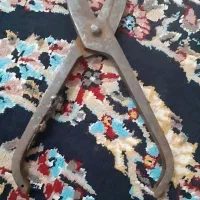 قیچی قندشکن