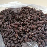 کشمش مویز