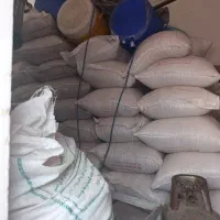 جو شش پر پا کوتاه برای بذر و تیم
