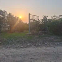 زمین باغی روستای نصرآبادبه متراژ ۱۳۵۶مترمربع|فروش دفتر صنعتی، کشاورزی، تجاری|گرگان, |دیوار