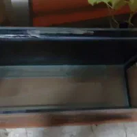 آکواریوم شیشه ((10میل))|ماهی|قم, باغ کرباسی|دیوار