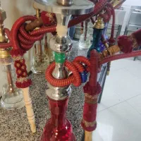قلیون تعداد