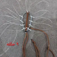 شناطه درجه یک|لوازم جانبی حیوانات|هندیجان, |دیوار