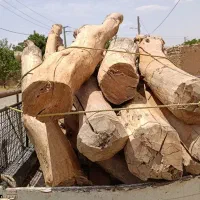 خرید انواع چوب تروخشک