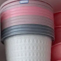 پلاسکوفروشی|ظروف نگهدارنده، پلاستیکی، یک‌بارمصرف|سرعین, |دیوار