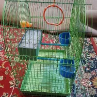قفس طوطی و پرنده