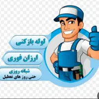 لوله بازکنی*بدون اسیدفنرزنی چاه رفع نمزدگی نشتیابی|خدمات پیشه و مهارت|مشهد, کلاهدوز|دیوار