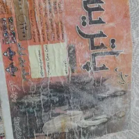 فرش ۳×۴ دوتخته|فرش|بانه, |دیوار