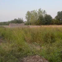 350-متر-زمین-با-نامه-ی-مسکونی