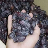 فروش خرمای ربی سیستان وبلوچستان بصورت نقدی