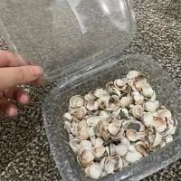 تعدادی وسایل سنگ مصنوعی و شمع سازی|عمده‌فروشی|شهریار, شهرک شاهد|دیوار