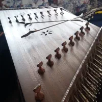 آموزش و فروش سنتور و گیتار