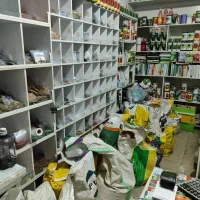 فروش تخصصی انواع بذر سبزیجات و صیفیجات و گل|گل و گیاه طبیعی|بابل, |دیوار