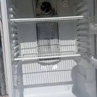 یخچال|یخچال و فریزر|بندرعباس, |دیوار