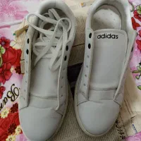 فوری فوری|کیف، کفش، کمربند|رشت, گلسار|دیوار