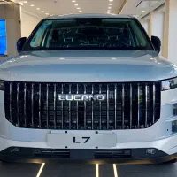 L7 نقره ای