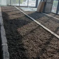 استا بنا|خدمات پیشه و مهارت|مشهد, کارمندان دوم|دیوار