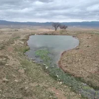 زمین کشاورزی ابی-۷و نیم هکتار -روستای ویسمان
