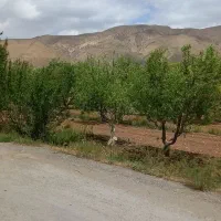 617متر-الحاق-به-بافت-جابان-دماوند-مناسب-برای-ساخت