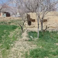 زمین-کشاورزی-کمربندی-گوگد
