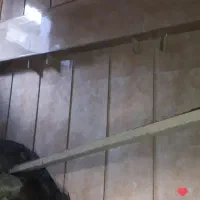 کاشیکاری وسرامیک|خدمات پیشه و مهارت|تهران, وحیدیه|دیوار