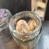 گل گاوزبان افسنطین، غنچه گل سرخ، چای سفید بلومینگ|خوردنی و آشامیدنی|تهران, باغ فیض|دیوار