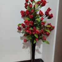 گل رز کنار سالنی