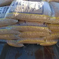 نخودبذری بوجاری شده