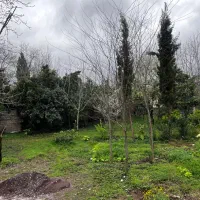 کلبه سوییسی دوخواب در ماسال