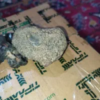 شهاب سنگ|جواهرات|اقلید, |دیوار