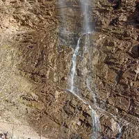 آشپزی خونگی