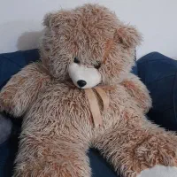 خرس بزرگ برای ولنتاین