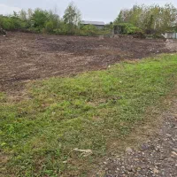 کدمشت اصغر/۱۱۰۰متر زمین بخر۱۰۰۰متر دیگه جایزه ببر|فروش زمین و ملک کلنگی|کوچصفهان, |دیوار