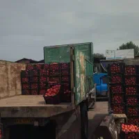 حمل بار کامیون باری کمپرس