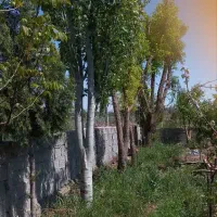 اگهی-باغچه