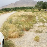 زمین باغی|فروش زمین و ملک کلنگی|زالیان, |دیوار